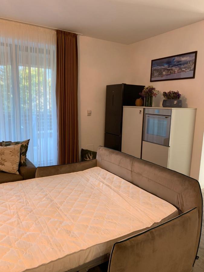 Edelweiss Apartments Silver Resort Пояна-Брашов Экстерьер фото